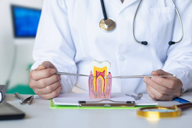 Best Urgent Care for Lost Fillings or Crowns in Columbia, TN